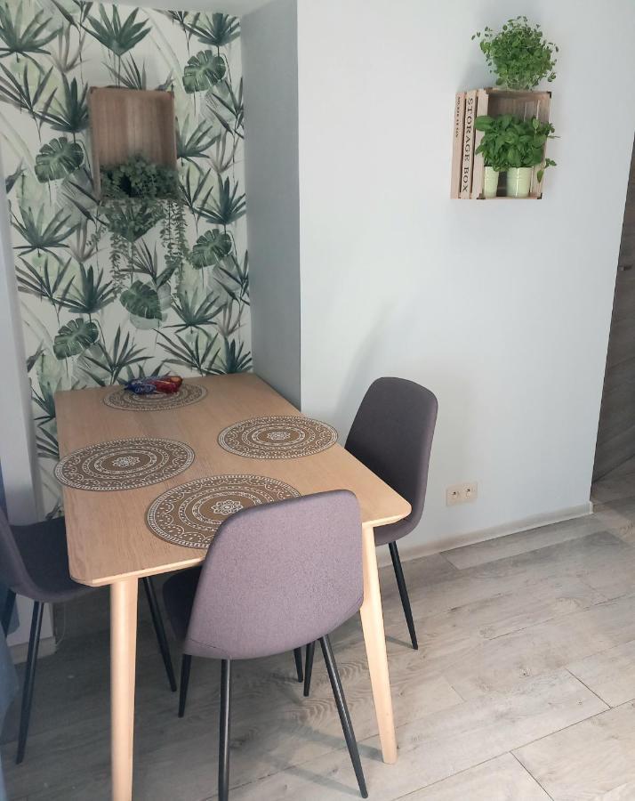 Hola Apartamenty Piotrkowska 罗兹 外观 照片